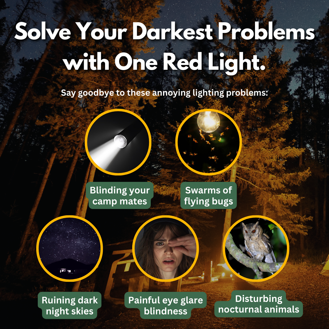 TerraBeam™ Induction Headlamp