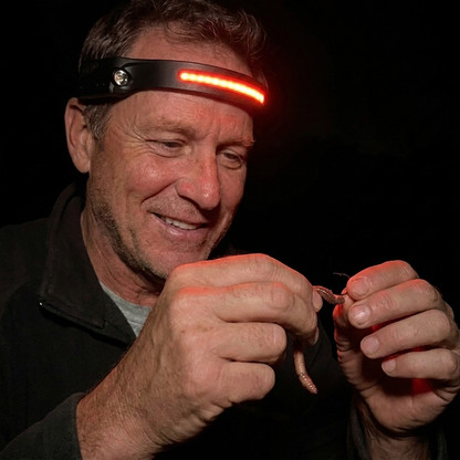 TerraBeam Red Light Headlamp